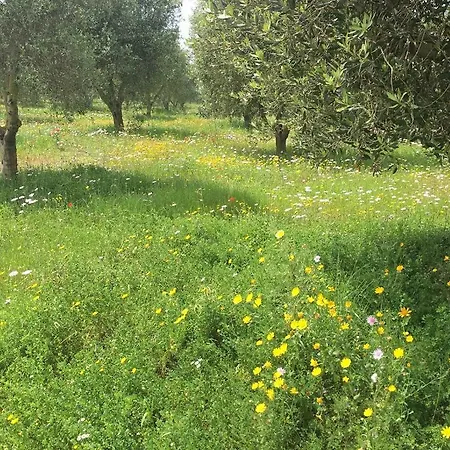 度假居 Nido Del Salento Nardò