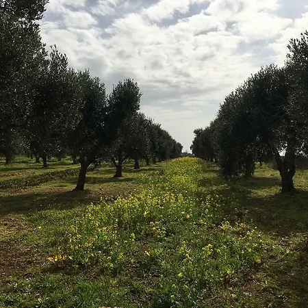 Nido Del Salento 度假居