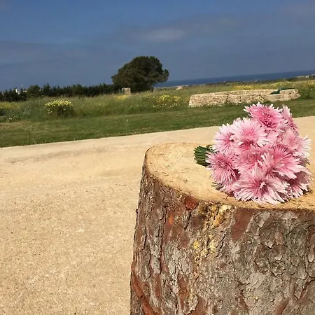 Nido Del Salento 度假居 Nardò